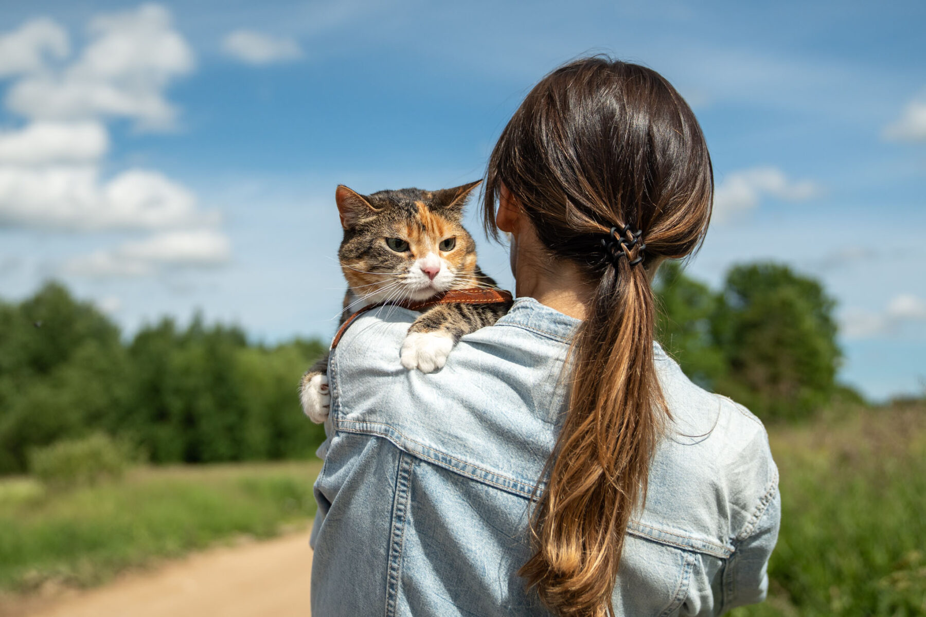 Rearview of woman strolling down with tabby cat in collar, perched on shoulder on sunny day in park outdoors. Pet owner caring about kitty and spending time together on summer day
