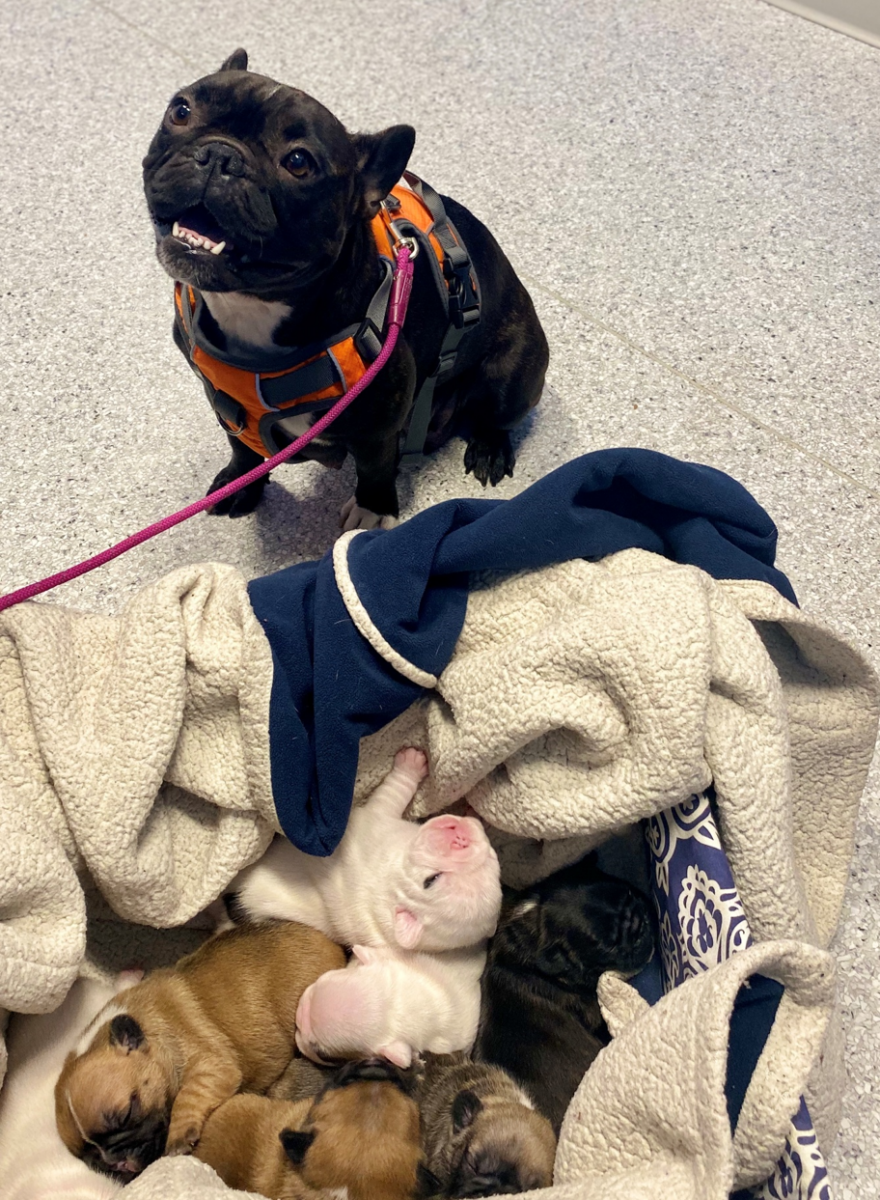 Lily – The new mom